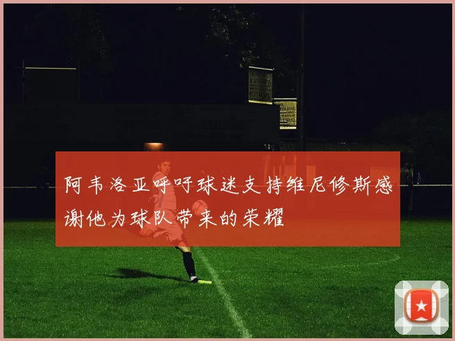 阿韦洛亚呼吁球迷支持维尼修斯感谢他为球队带来的荣耀