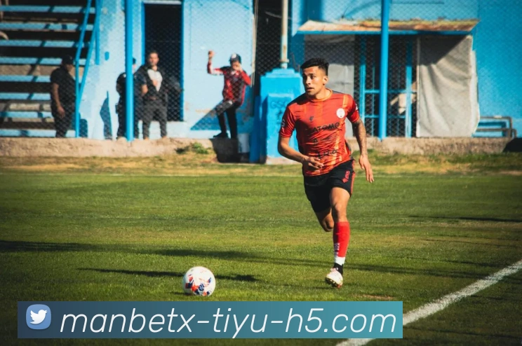 万博体育平台生态图